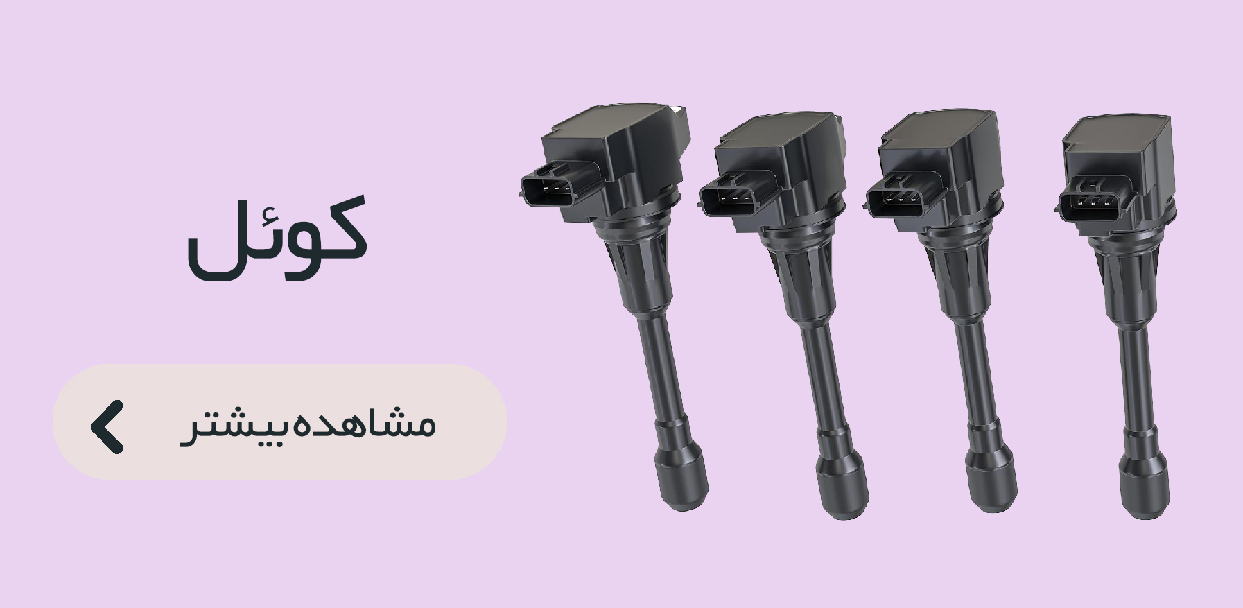 کوئل