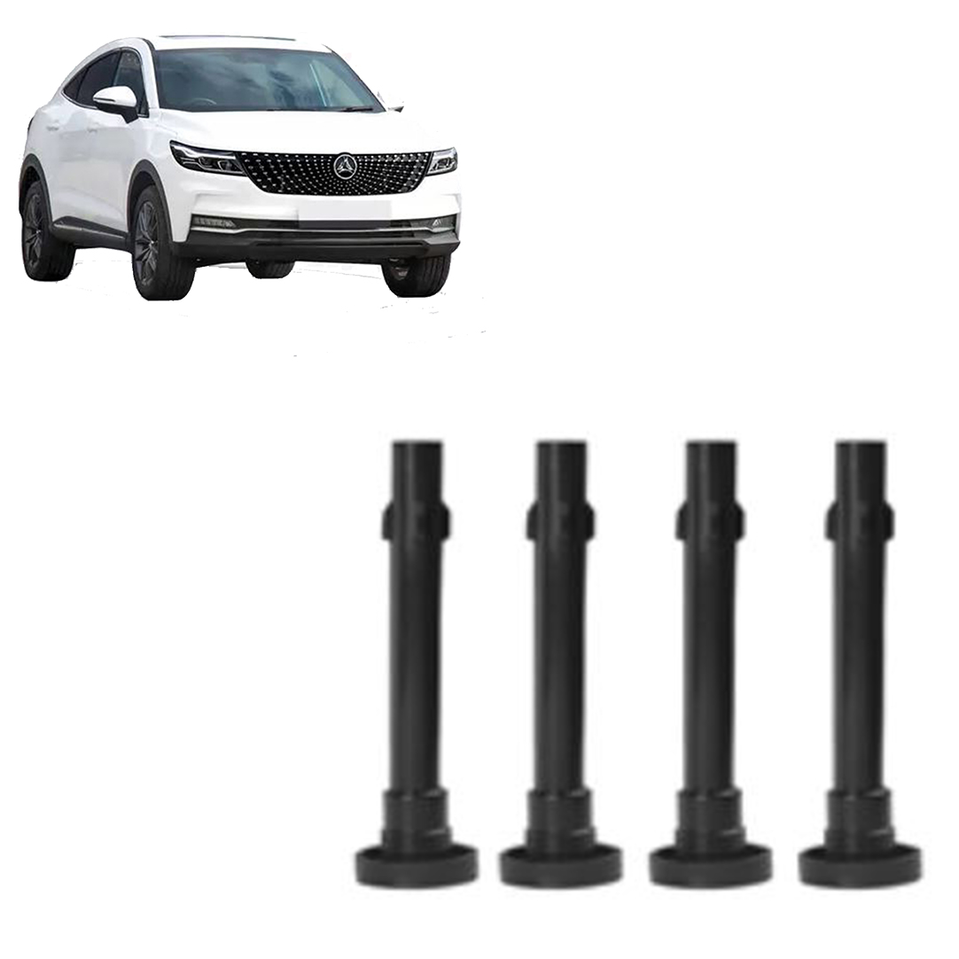 وایر شمع دیگنیتی