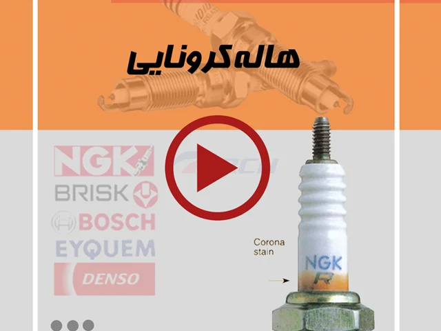 هاله کرونایی!